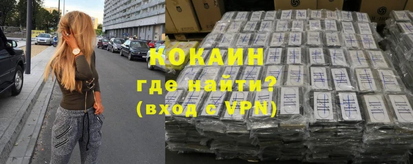 индика Армянск