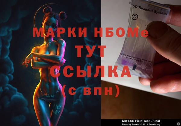 индика Армянск